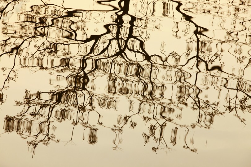 7a7d06f7176cc9d5d9f7e0d76857ffc8_1749300987_7355.jpg